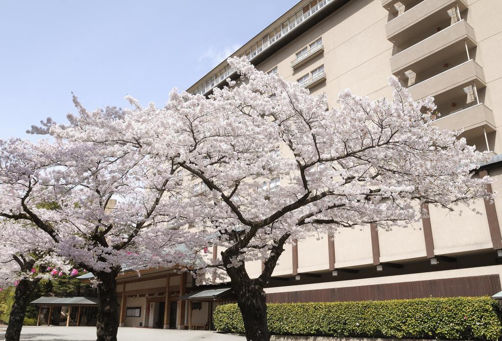 Suimeikan Gero Luaran gambar Sakura trees in full bloom