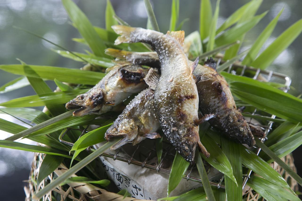 Suimeikan Gero Luaran gambar A pair of the frogs